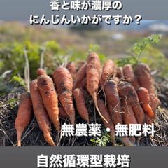 2024年冬収穫　自然栽培にんじん 1kg⭐︎無農薬・無肥料⭐︎