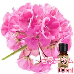 ゼラニウム 10ml×1本 エッセンシャルオイル アロマオイル 無希釈 天然 無添加 アロマストーン アロマディフューザー 芳香 ルームフレグランス 香水