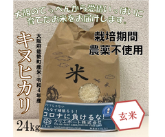 【在庫処分！】【令和４年産/栽培期間農薬不使用】大阪のてっぺんキヌヒカリ　玄米24kg