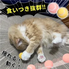猫おもちゃ 猫じゃらし ペットのおもちゃ 電動ボール 2色選べる 犬 猫 猫じゃらし 猫ボール 自動 充電式 回転 振動 移動 光る ストレス解消 運動不足解消 ダイエット 肥満 留守番 キャット ドッグ 犬用 猫用のサムネイル