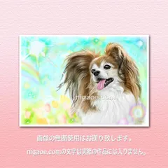 パピヨントライ確認画像入札禁止❌️