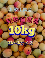 南高梅　完熟20kg 家庭用和歌山県産