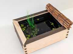 タライ 36L 木枠 低床セット ブラウン メダカ 金魚 水槽 杉板 荒材