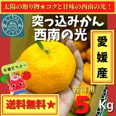 予約販売【突っ込みかん】お日様からの贈り物★愛媛県産　西南の光　5Kg