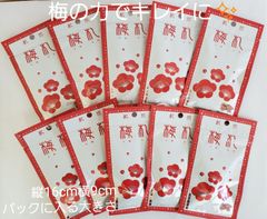 【梅のチカラでキレイに✨】手軽にたっぷり梅果汁！梅札14g×10袋セット