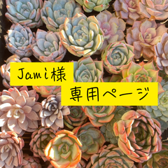 Jami様　専用