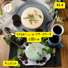 【GoldenCheese】ニューヨークチーズケーキ　オレオ/チョコレート＆ミント2個セット