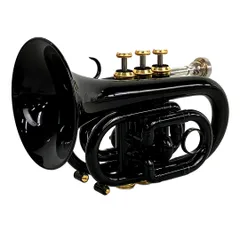 2025年最新】j.michael ポケットトランペットの人気アイテム - メルカリ