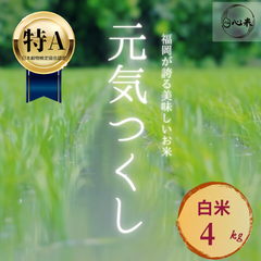 元気つくし 4kg 白米 お米 6年産