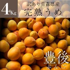 【北海道～関西エリア限定】　訳あり　青森県産　完熟うめ（豊後梅）　4Kg　※クール便発送用