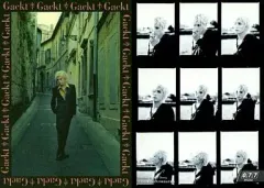 【中古】コレクションカード(男性) 077 ： Gackt/Gackt in South France-5/Gackt TRADING CARDS