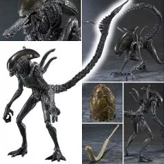 エイリアンクイーン　ハイヤトイズ　hiyatoys　エイリアン2　フィギュア エイリアンクイーン ハイヤトイズ hiyatoys エイリアン2 フィギュア
