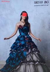 ＜現品限り＞used　カラードレス　ブルーグリーン　ブライトチェック　薔薇柄フロッキー　すみれ　ブランドドレス　結婚式　お色直し　パーティー　演劇　芝居　コスプレ　ステージ　ダンス　舞台　レイヤー