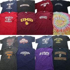古着卸 まとめ売り カレッジ 半袖Tシャツ 16枚セット (メンズ 2XL /3XL /4XL ) 3段プリント アーチロゴ タイダイ柄 中古 古着 NB3941