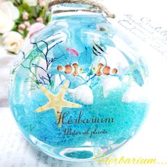 海ハーバリウム❁︎ マリンハーバリウム 夏 海 インテリア