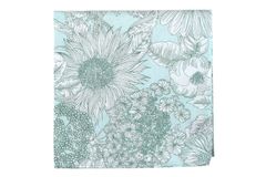 Item thumbnail for item 7aa16512-b91b-46e8-98c7-1e45c5eff25c