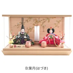 雛人形 ケース飾り 親王飾り アクリルケース 藤翁作 みこと 小三