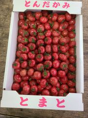 熊本産地直送トマト16キロ - メルカリ
