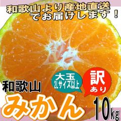 みかん 訳ありミカン 和歌山県産 訳ありみかん 大玉（Lサイズ以上) 10kg