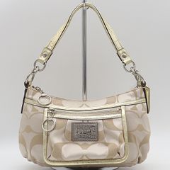タグ付き COACH コーチ ラフィア ビジュー パイソン ハンドバッグ Y2K