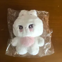 スキズ リノ ぬいぐるみ リギンイ Lee Know 리노 スキズ リノ ぬいぐるみ リギンイ Lee Know 리노 2025年最新