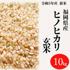 【定番セール】ゆぅか様専用 お米　令和元年　愛媛県産ヒノヒカリ　白米　20㎏ 米/穀物