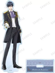 【中古】アクリルスタンド・アクリルパネル リンデン・ド・ロマノフ BIGアクリルスタンド 「外科医エリーゼ」