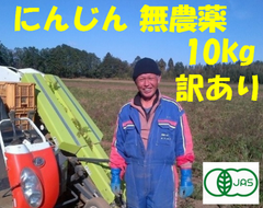 有機 JAS認証 にんじん 訳あり ご自宅用 訳あり 10ｋｇ箱  オーガニック 野菜訳あり 送料無料 ニンジンジュース用 10kg  にんじん 人参有機JAS   有機JAS 100％ 農薬不使用20年以上の実績