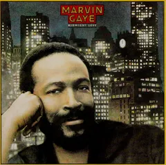 Marvin Gaye 名盤レコード5枚セット Marvin Gaye 名盤レコード5枚セット Marvin Gaye 名盤レコード5枚セット
