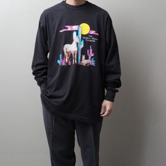 1990's MadeinUSA Printed L/S T-Shirt "fruit of the room" 112045