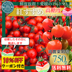高糖度★収穫後すぐ発送！　高糖度紅すずめ　750g　ミニトマト　こだわり農家の希少な逸品