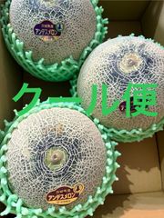 アンデスメロン 4Lサイズ 3個入 箱込5キロ程度 茨城県産