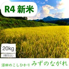 お米 20キロ 玄米 無農薬 新米 20kg 令和3年 コシヒカリ 米 健康