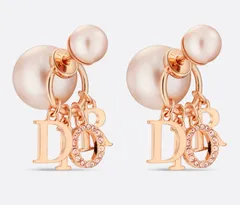 2024年最新】dior ピアス tribalesの人気アイテム - メルカリ