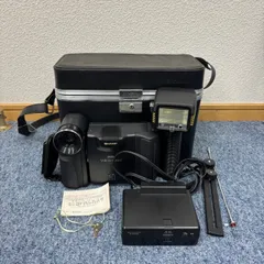 撮影再生ダビングOK　美品　SHARP　VL-HL3　付属品あり　Hi8　大画面 撮影再生ダビングOK 美品 SHARP VL-HL3 付属品あり Hi8 大画面
