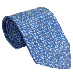 サルバトーレ フェラガモ salvatore ferrgamo ネクタイ ブルー系 シルク100％ イタリー製 702846 ギフト プレゼント