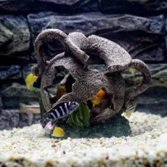 大きな　壺 瓶 　高52口52cm　重さ33kg　睡蓮　メダカ　金魚　グッピー 大きな 壺 瓶 高52口52cm 重さ33kg 睡蓮 メダカ 金魚 グッピー