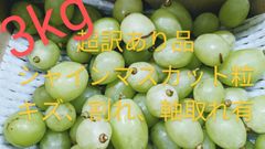 超訳あり品シャインマスカット粒箱込み3キロ