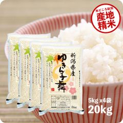 米 新潟県産ゆきん子舞20kg  お米 令和5年産 白米