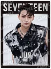 [중고] 식완 스티커 씰 17. [SVT GUMMI From PLEDIS ENTERTAINMENT SEVENTEEN]