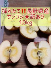 採りたて‼️長野県産★訳ありサンフジ★10kg