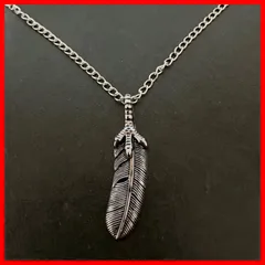 シルバーカラーのフェザーのネックレス（鷹の爪？鷲の爪？）⭕️商品説明必読