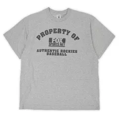 フォックススポーツネット FOX SPORTS NET 90s 00s プリントTシャツ カレッジ調 4段プリント MLB 珍品 旧タグ DELTA USA アメリカ ヴィンテージ 古着 メンズ カットソー 霜降りグレー XL【中古】