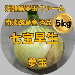 淡路島産新玉ねぎ 七宝早生 秀品5kg 減農薬 有機肥料 甘い  農家直送 夢玉