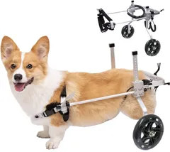 2023年最新】犬 車椅子 歩行器の人気アイテム - メルカリ