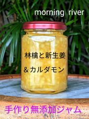 🍎🍊🍋林檎＆新生姜＆カルダモンの手作り無添加ジャム(コンフィチュール)
