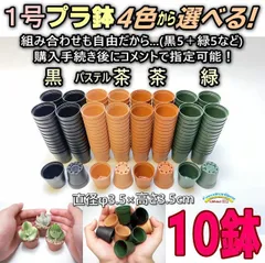 ミニ鉢専門店一寸鉢＊1号鉢ミニプラ鉢- [黒/パステル茶/茶/緑] 10鉢＊多肉植物・塊根植物コーデックス・アガベ・サボテン・盆栽・観葉・ハオルチア・アデニウム・パキポディウム・実生・一寸鉢・1号プラ鉢10個セット＠フラワーショップ江口