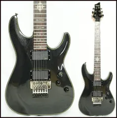 2025年最新】schecter DAMIENの人気アイテム - メルカリ