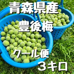 豊後梅　3キロ程度　青森県産　サイズ小～中　クール便のサムネイル