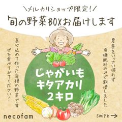 【埼玉県産/数量限定】きたあかり　2キロ（2㎏）